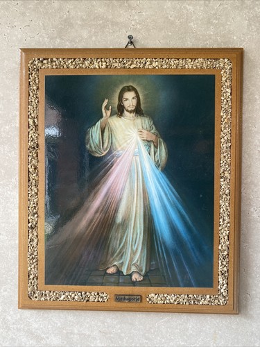 The divine mercy jesus - -,
