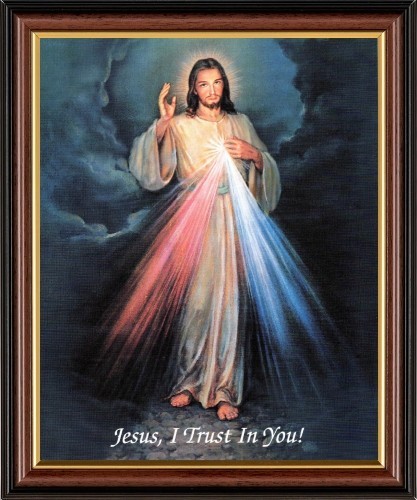 The divine mercy - the,