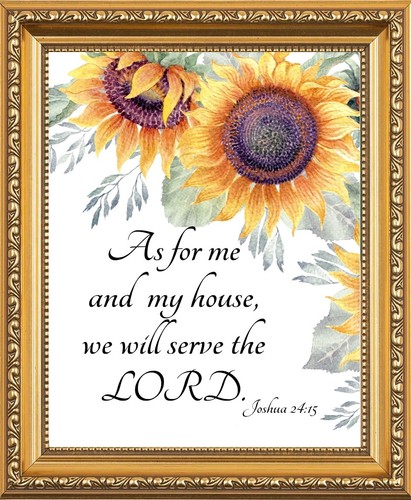 For and house - my, will
